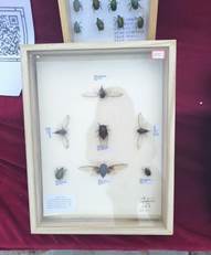 图示, 示意图&#10;&#10;中度可信度描述已自动生成:ver1