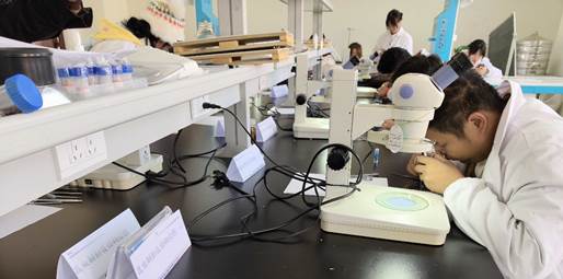 微信图片_20251029152425_131_42