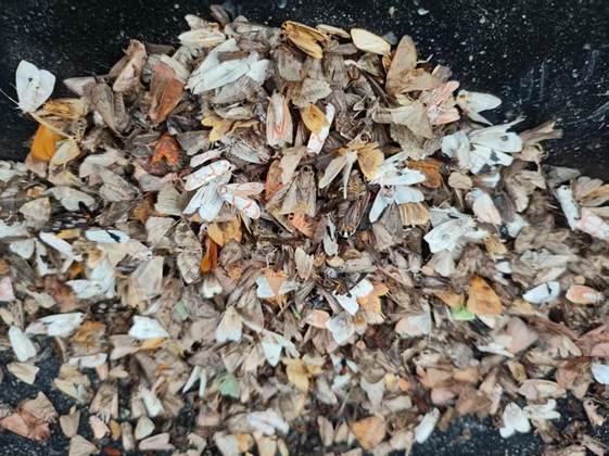 1e0c35d873a8114b78f72767cd077cf9